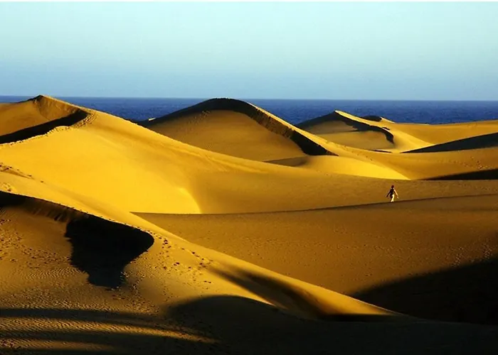 公寓 Mirador Del 6th By Casas Cocodrilo *