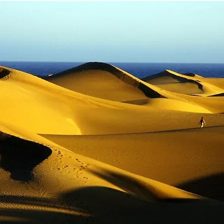 דירה Mirador Del 6th By Casas Cocodrilo *